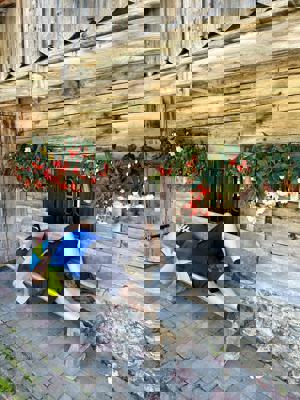 0Bd25ace 29D7 46B7 B47a 4Be36db2936b