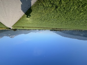 IMG 1120
